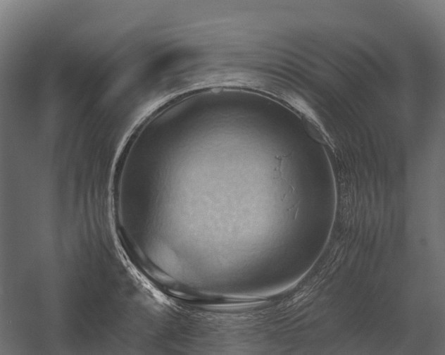 X0000057581088200509231245