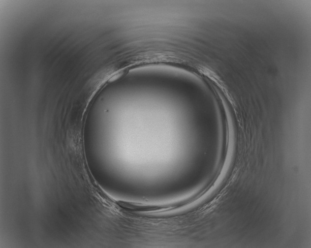 X0000057581089200509231245