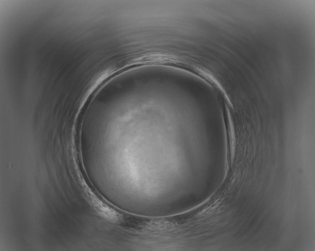 X0000057581091200509231245