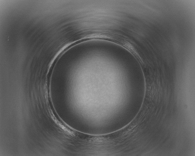 X0000057581092200509231245