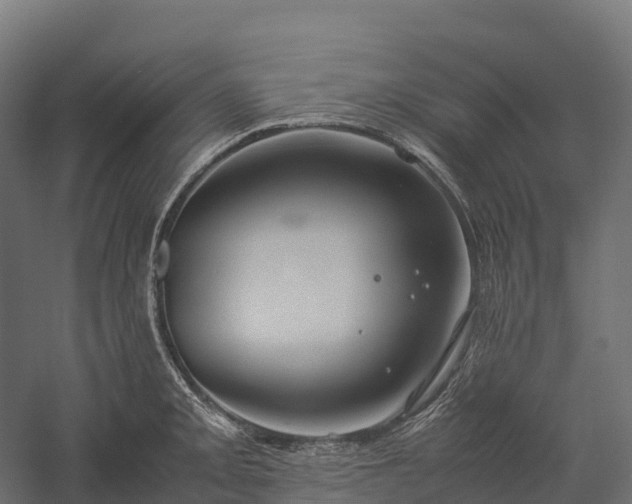 X0000057581093200509231245