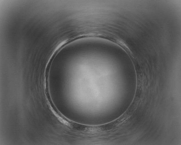 X0000057581095200509231245