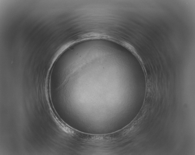 X0000057581098200509231245