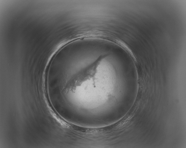 X0000057581099200509231245