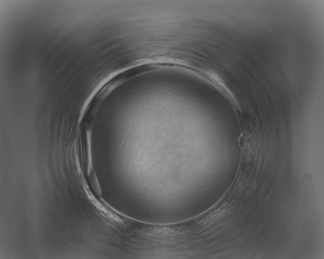 X0000057581100200509231245