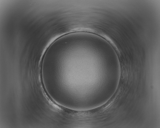 X0000057581102200509231245