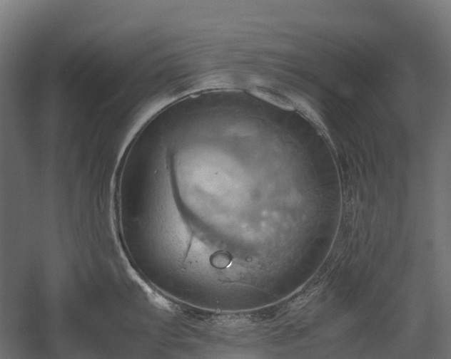 X0000057581103200509231245