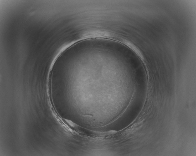 X0000057581104200509231245