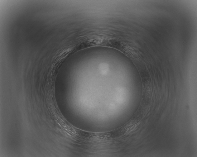 X0000057581105200509231244