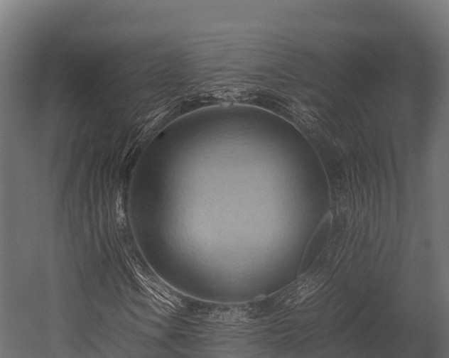 X0000057581106200509231244