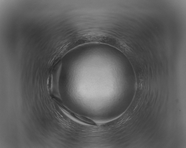 X0000057581108200509231244