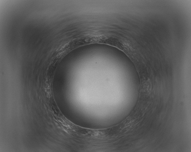 X0000057581109200509231244