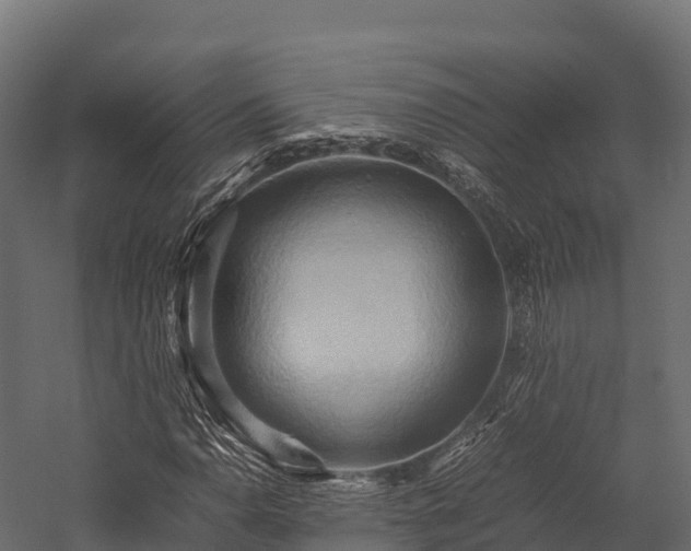 X0000057581110200509231244