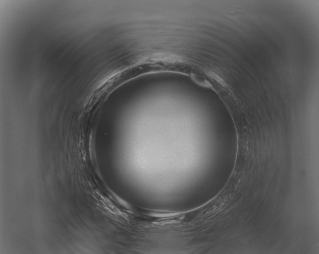 X0000057581112200509231244