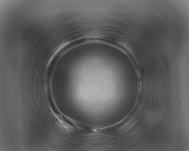 X0000057581115200509231244