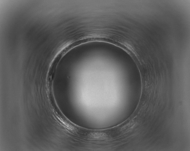 X0000057581119200509231244