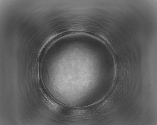 X0000057581123200509231244