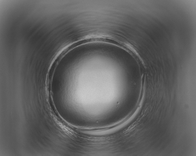 X0000057581124200509231244