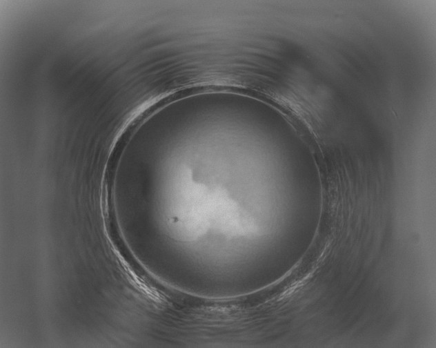 X0000057581125200509231244