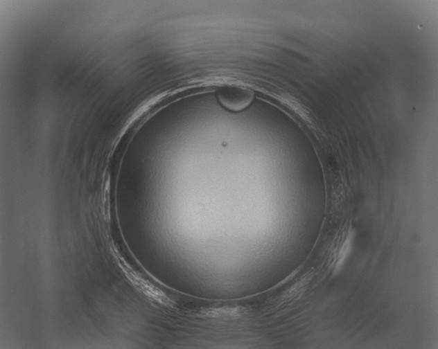 X0000057581126200509231244