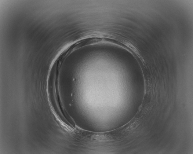 X0000057581128200509231245