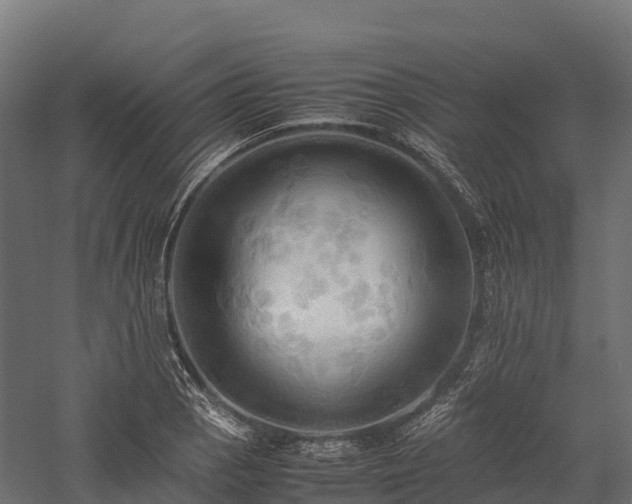 X0000057581129200509231245