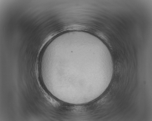 X0000057581130200509231245