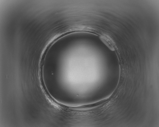 X0000057581136200509231245