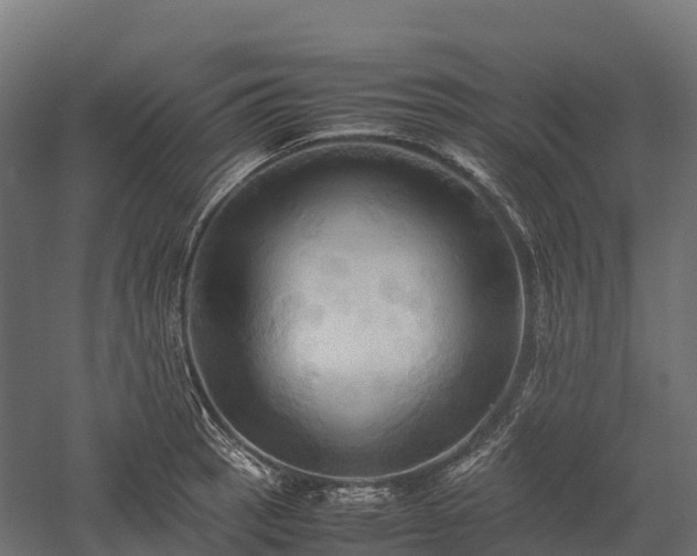 X0000057581137200509231245