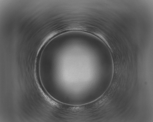 X0000057581139200509231245