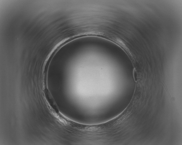 X0000057581140200509231245