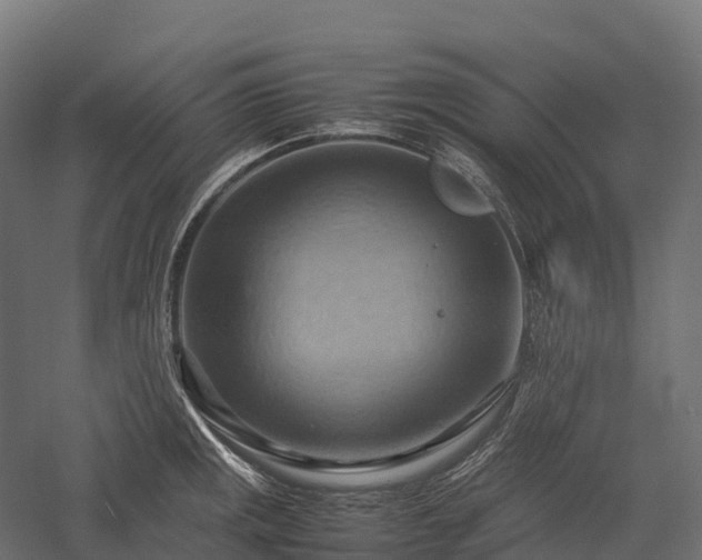 X0000057581141200509231245