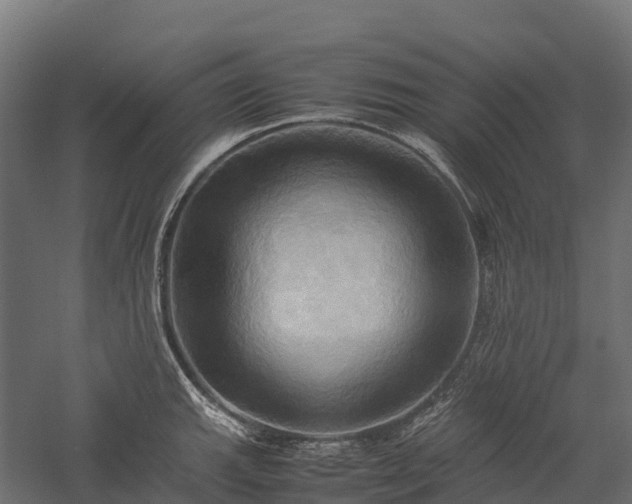 X0000057581143200509231245