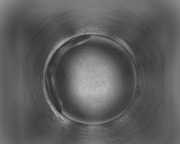 X0000057581144200509231245