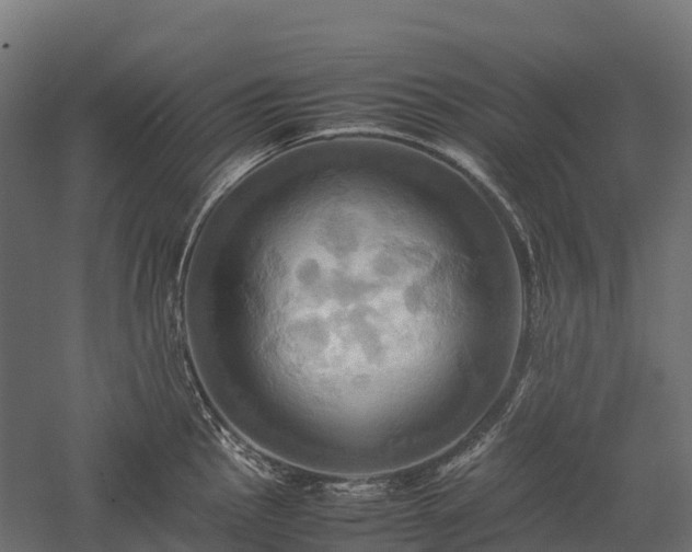 X0000057581145200509231245