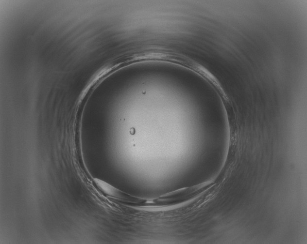 X0000057581146200509231245