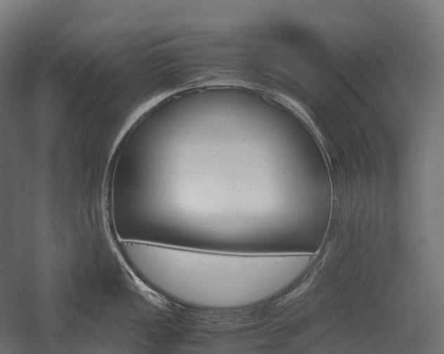 X0000057581149200509231245