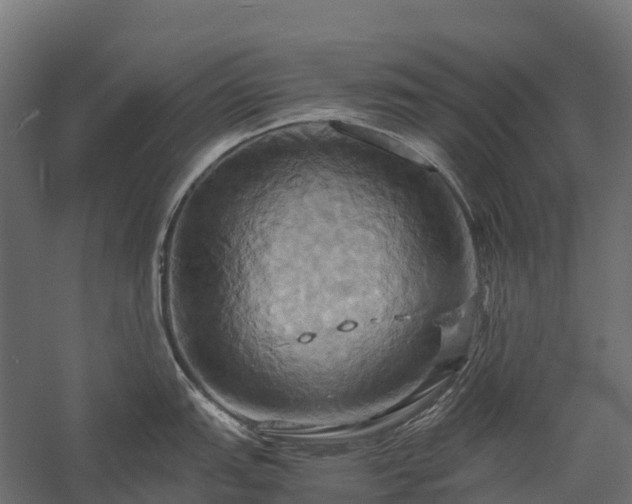 X0000057581151200509231245