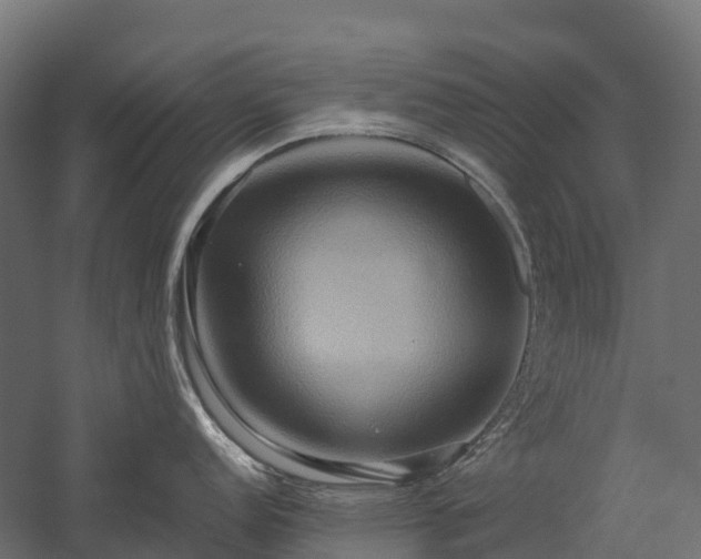 X0000057581152200509231245