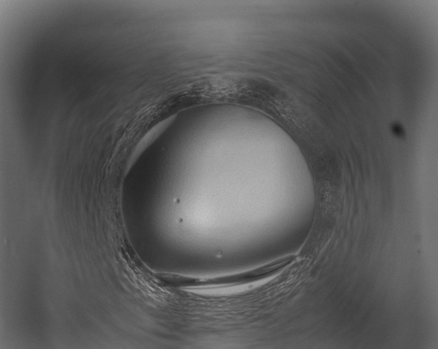 X0000057581153200509231244