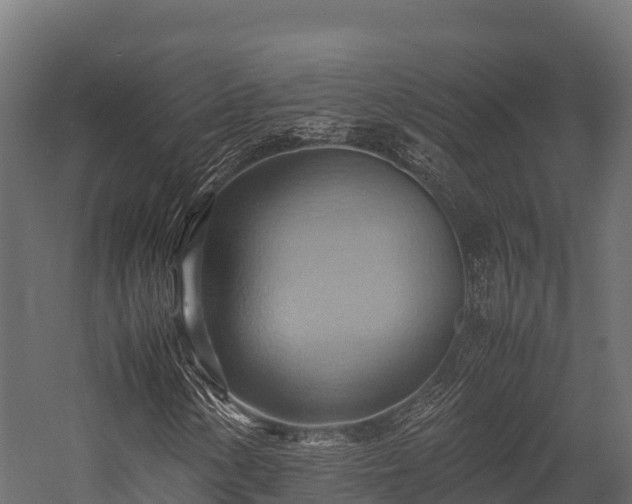 X0000057581154200509231244