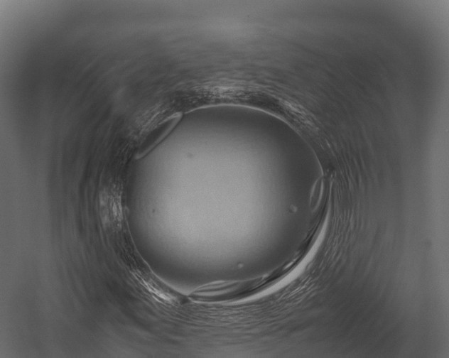 X0000057581155200509231244