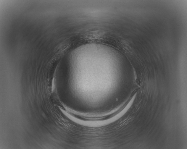 X0000057581156200509231244