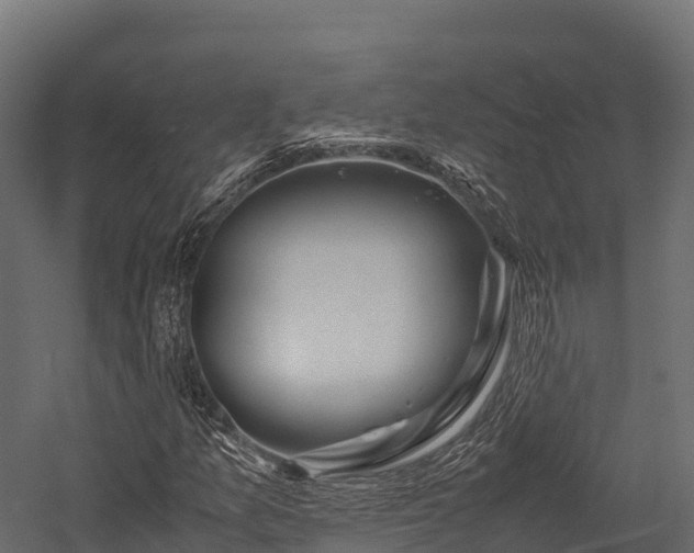 X0000057581157200509231244