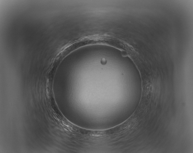 X0000057581158200509231244