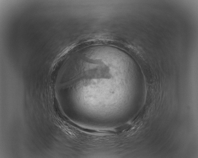 X0000057581159200509231244