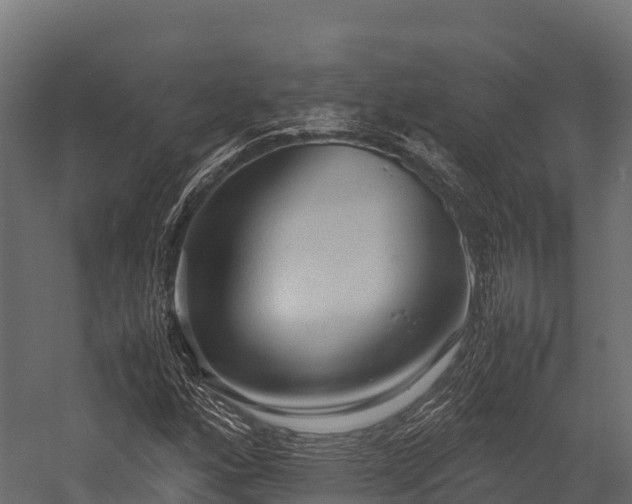 X0000057581160200509231244