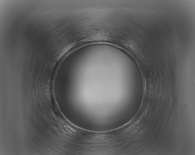 X0000057581162200509231244