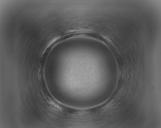 X0000057581163200509231244