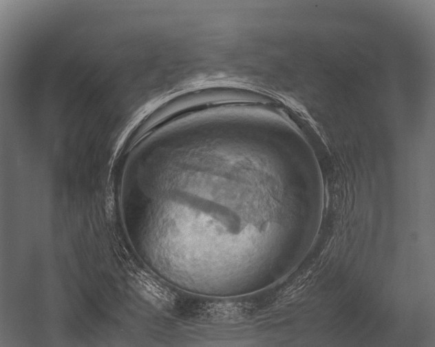 X0000057581167200509231244